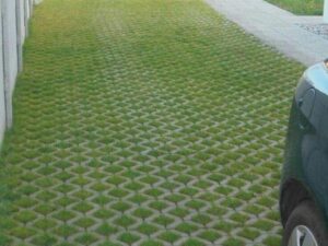Grass Pavers