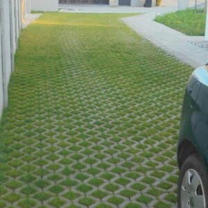 Grass Pavers